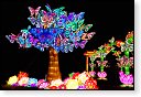 china light licht festival lichtshow show festiviteit glow evenement event chinees chinese verlichting draak dragon lichtfestival zoo